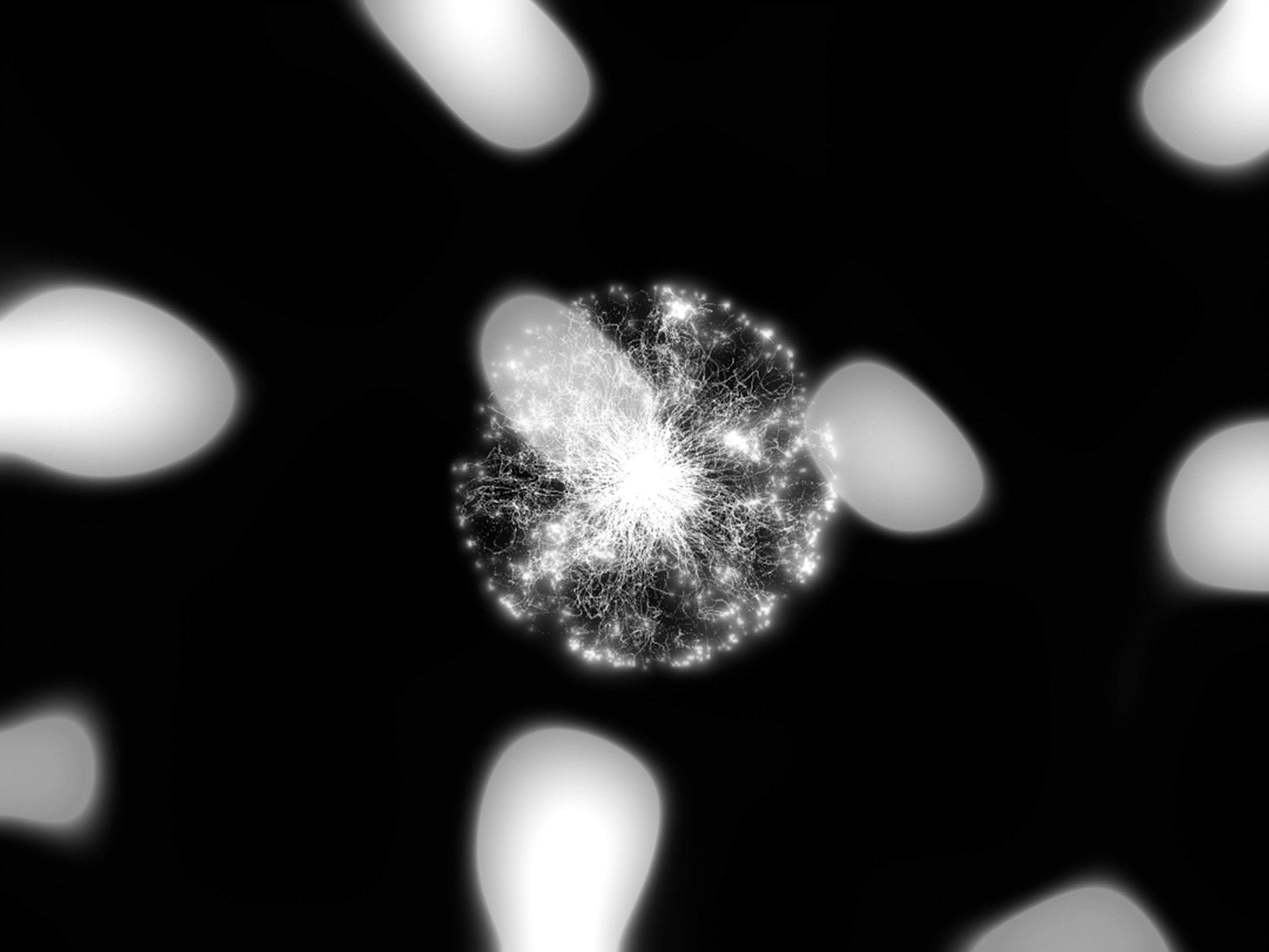 細胞與神經元 — 光的核心