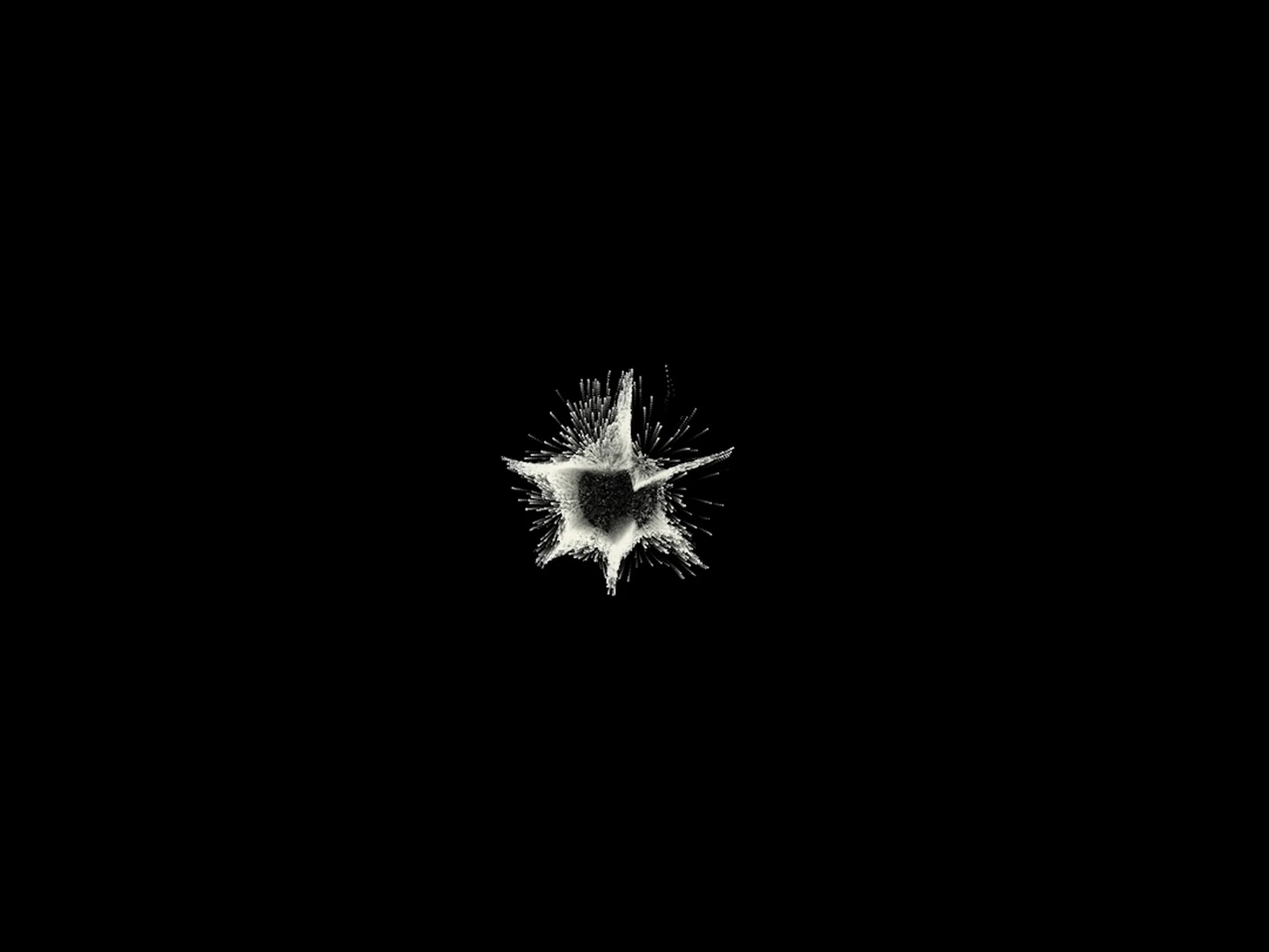 二主前 — 黑白星芒