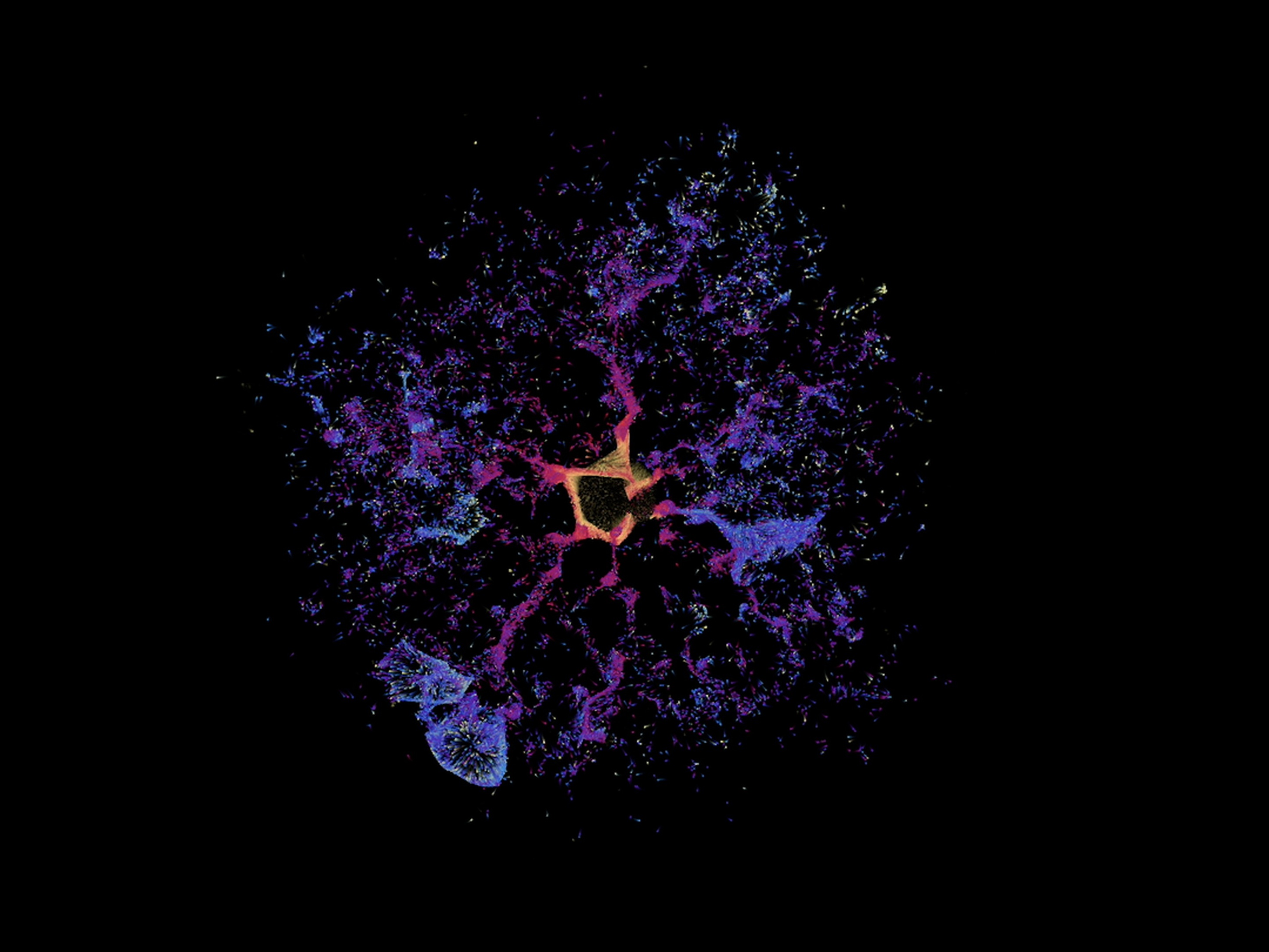 二主後 — 彩色綻放